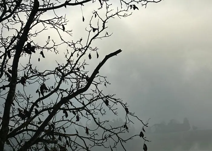 Aussergewoehnliches Loft